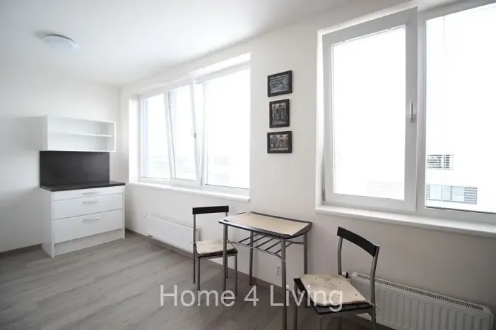 Pronájem bytu 1+kk, Brno, Nad Přehradou, 25 m2