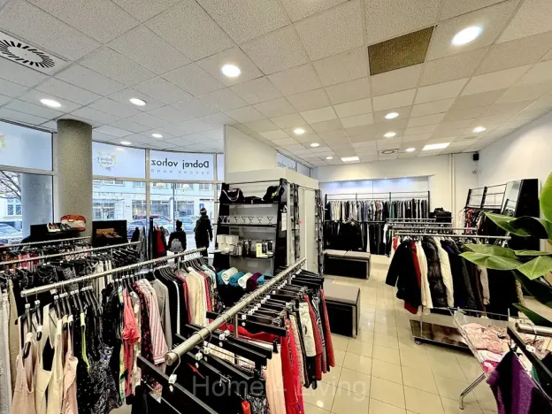 Prodej obchodního prostoru, Brno, Příkop, 120 m2