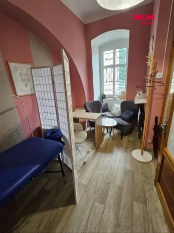 Pronájem obchodního prostoru, Plzeň, sady 5. května, 12 m2