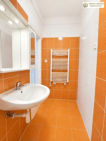 Prodej bytu 2+1, Libina, 54 m2