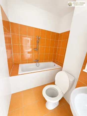 Prodej bytu 2+1, Libina, 54 m2