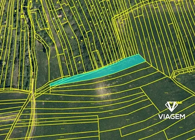 Prodej pole, Kyjov, 2471 m2