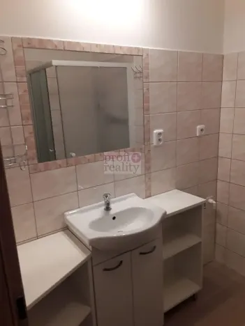 Pronájem bytu 2+1, Opava, Lepařova, 56 m2