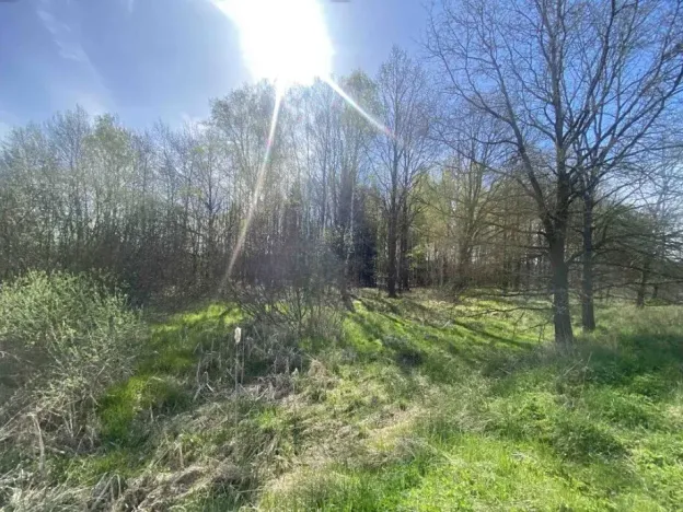 Dražba louky, Hranice, 2086 m2