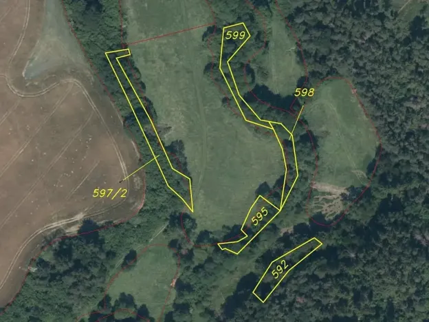 Dražba louky, Křečovice, 3882 m2
