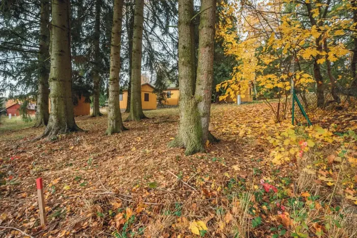 Prodej chaty, Seč, 21 m2