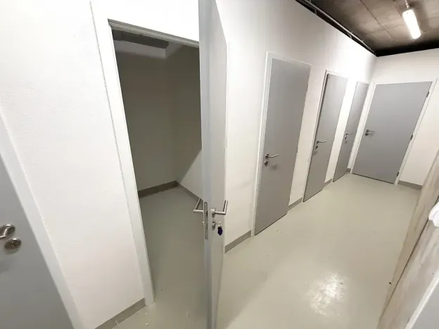 Prodej bytu 2+kk, Brno, třída Generála Píky, 84 m2