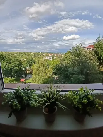 Pronájem bytu 2+1, Uherský Brod, 64 m2