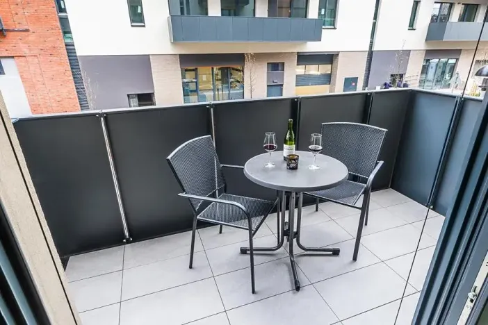 Pronájem bytu 1+kk, Praha - Žižkov, Seifertova, 29 m2