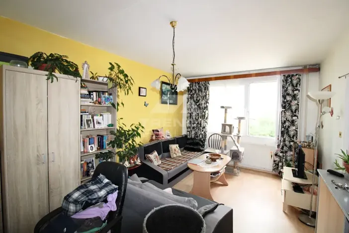 Prodej bytu 1+1, Plzeň, Žlutická, 39 m2