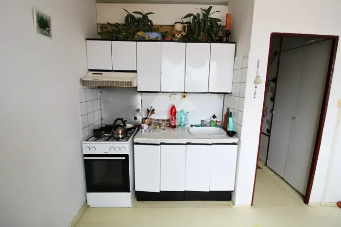 Prodej bytu 1+1, Plzeň, Žlutická, 39 m2