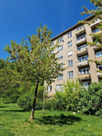 Pronájem bytu 2+kk, Brno, Trýbova, 54 m2