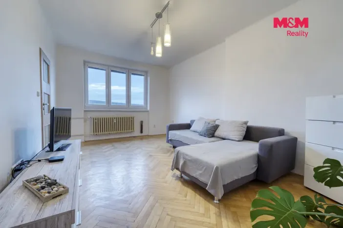 Pronájem bytu 2+1, Plasy, Stará cesta, 55 m2