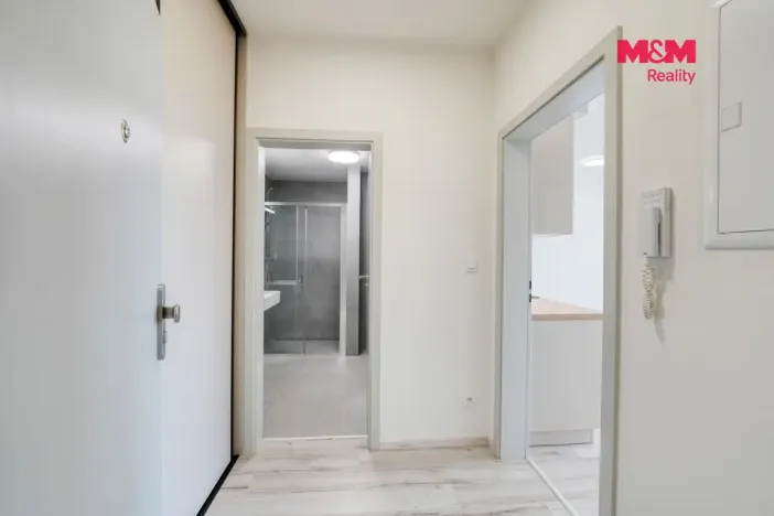 Pronájem bytu 1+kk, Plzeň - Litice, Srncová, 36 m2