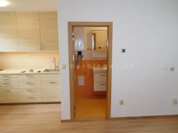 Pronájem bytu 1+kk, Šlapanice, Riegrova, 23 m2
