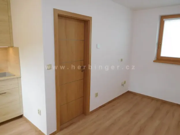 Pronájem bytu 1+kk, Šlapanice, Riegrova, 23 m2