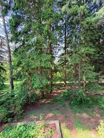 Prodej chaty, Borová, 53 m2