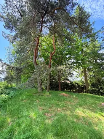 Prodej chaty, Borová, 53 m2