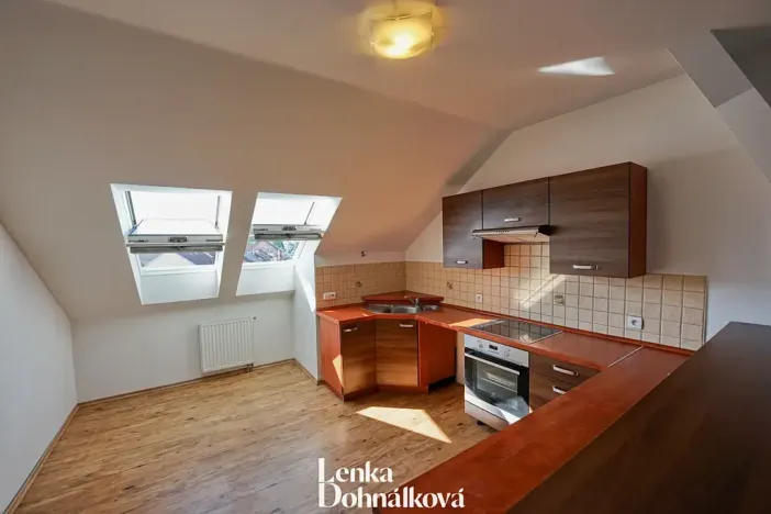Pronájem bytu 3+kk, Hodonín, 115 m2