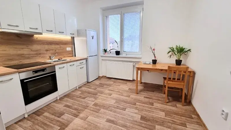 Pronájem bytu 1+1, Jihlava, Dr. Jiřího Procházky, 49 m2