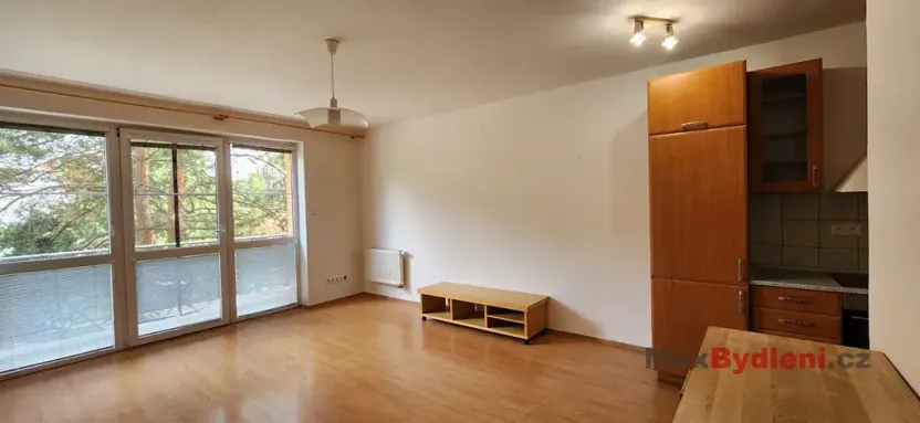 Pronájem bytu 1+kk, Liberec, Hanychovská, 47 m2