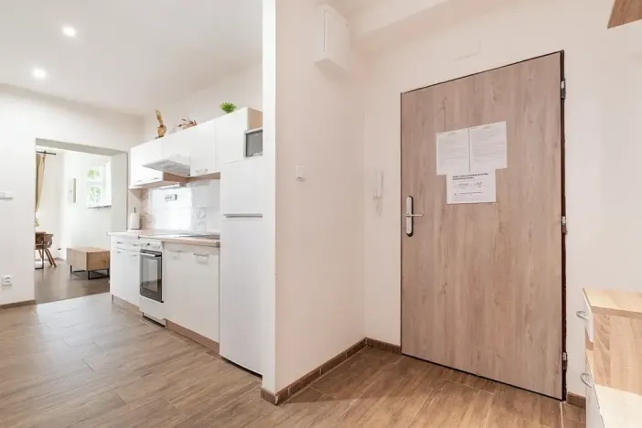 Prodej bytu 1+kk, Brno, Kotlářská, 41 m2