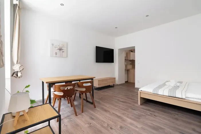 Prodej bytu 1+kk, Brno, Kotlářská, 41 m2