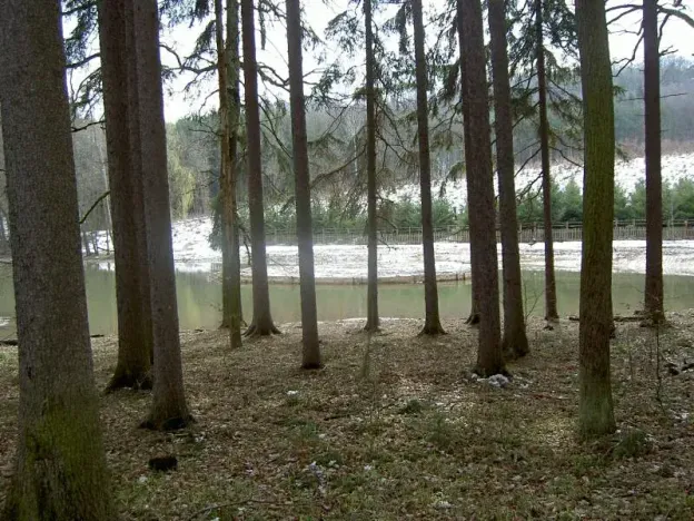 Pronájem rybníku, Prštice, 9975 m2