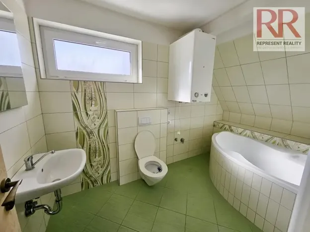 Pronájem rodinného domu, Plzeň, Mezi Ploty, 160 m2