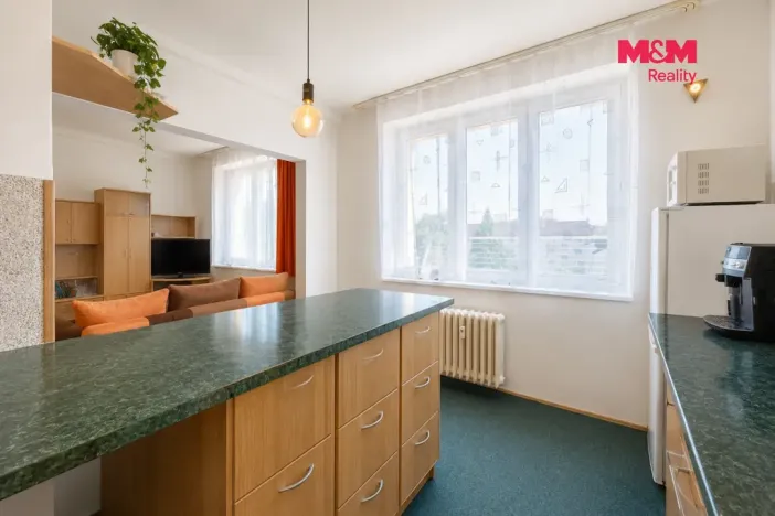 Prodej bytu 1+1, Pardubice - Zelené Předměstí, Devotyho, 35 m2