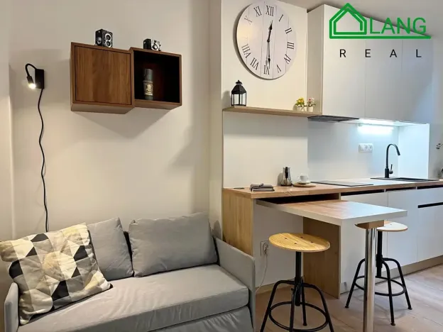 Pronájem bytu 1+kk, Brno, Koliště, 28 m2
