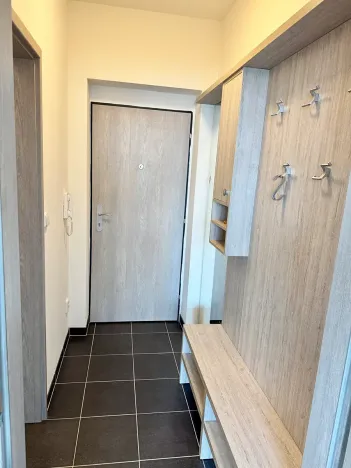 Pronájem bytu 1+kk, Brno, Vranovská, 26 m2