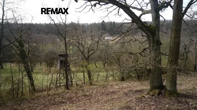 Prodej chaty, Plasy, 50 m2