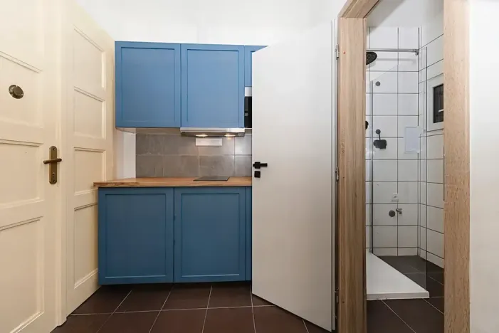 Prodej bytu 1+kk, Praha - Košíře, Vrchlického, 27 m2