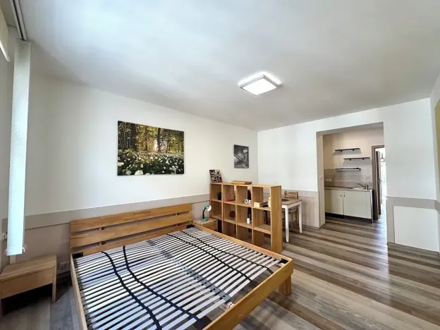Pronájem bytu 1+kk, Praha - Vršovice, Sevastopolská, 30 m2