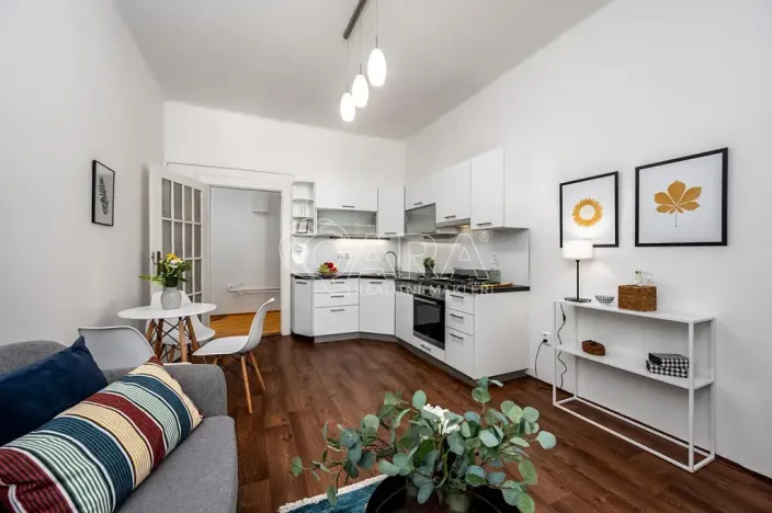 Prodej bytu 1+1, Praha - Karlín, Na střelnici, 53 m2