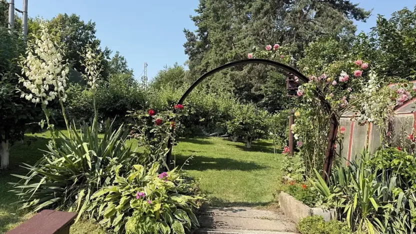 Prodej chaty, Boršov nad Vltavou, 41 m2