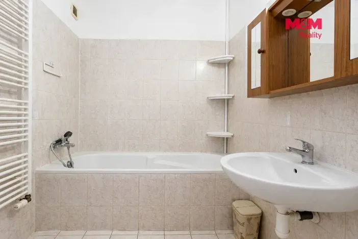 Pronájem bytu 1+1, Nová Role, U Plynárny, 38 m2