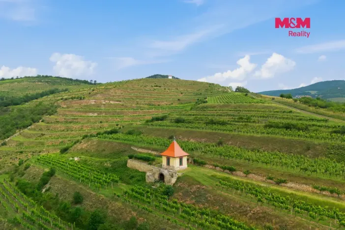 Prodej restaurace, Velké Žernoseky, 438 m2