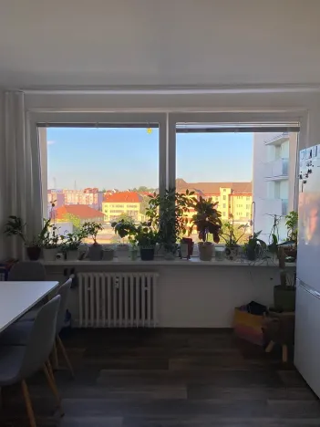 Prodej bytu 1+1, Teplice, Bratislavská, 41 m2