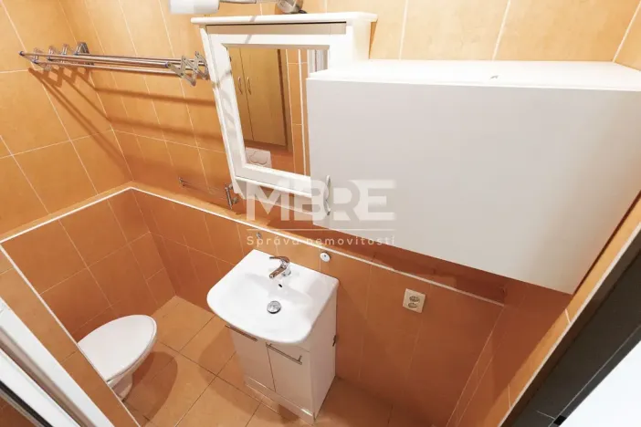 Pronájem bytu 2+1, Orlová - Lutyně, F. S. Tůmy, 44 m2