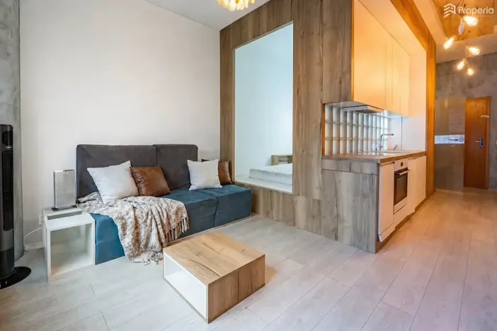 Prodej bytu 1+kk, Brno, Příkop, 31 m2