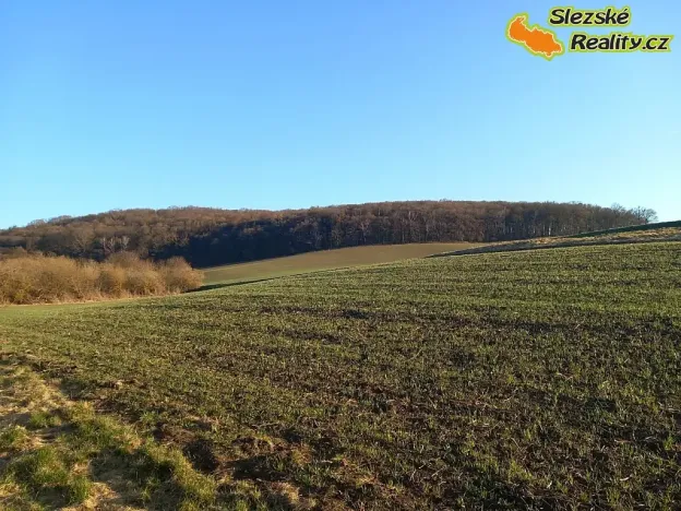 Prodej chaty, Kunkovice, 115 m2