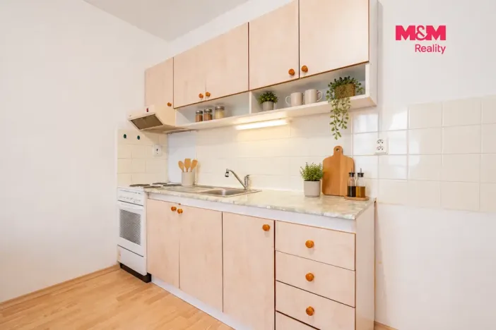 Prodej bytu 2+kk, České Budějovice - České Budějovice 3, Riegrova, 44 m2