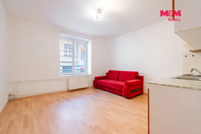 Prodej bytu 2+kk, České Budějovice - České Budějovice 3, Riegrova, 44 m2