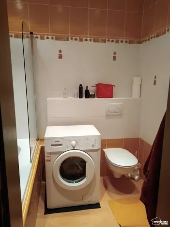 Pronájem bytu 2+kk, Železná Ruda, 37 m2