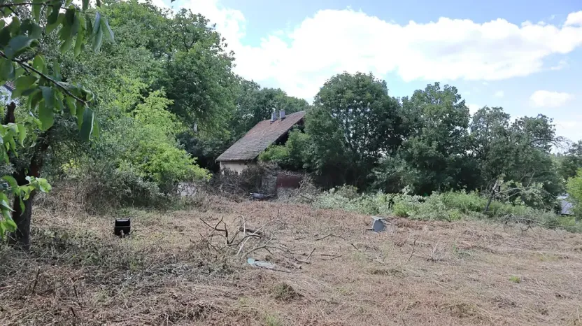 Prodej pozemku pro bydlení, Lešany, 2358 m2