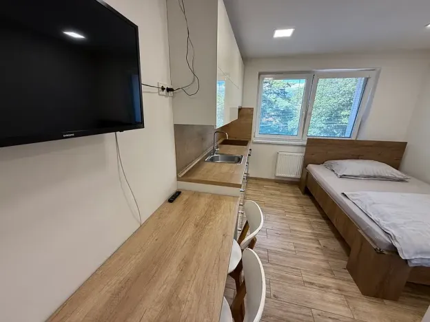 Pronájem bytu 1+kk, Zlín, Štefánikova, 22 m2