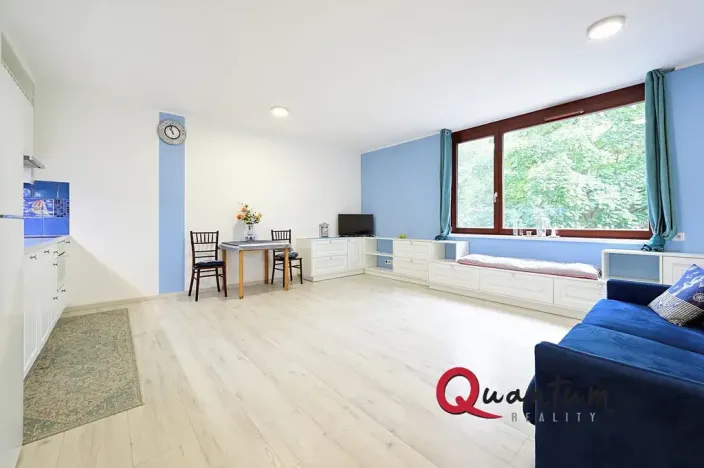 Prodej bytu 1+kk, Praha - Michle, U michelského mlýna, 40 m2