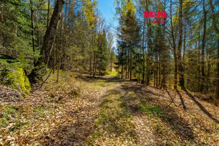 Prodej chalupy, Tanvald - Šumburk nad Desnou, 118 m2